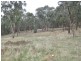 92 Steep Lane, Glenrowan West VIC 3675