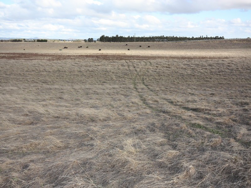 Lot 2 Habel & Locksley Road, Nagambie VIC 3608