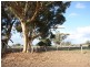 Lot 2 Habel & Locksley Road, Nagambie VIC 3608