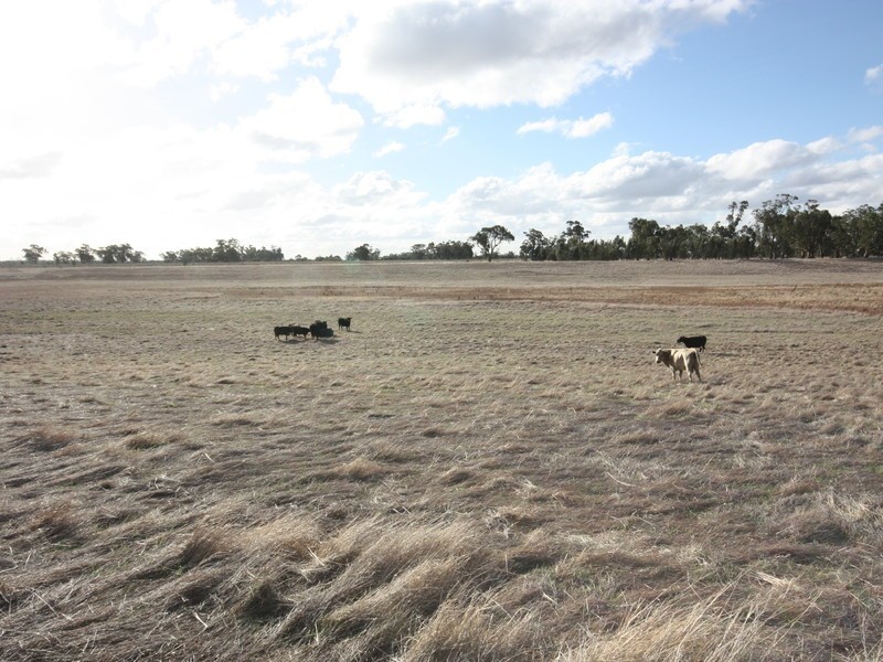 Lot 2 Habel & Locksley Road, Nagambie VIC 3608