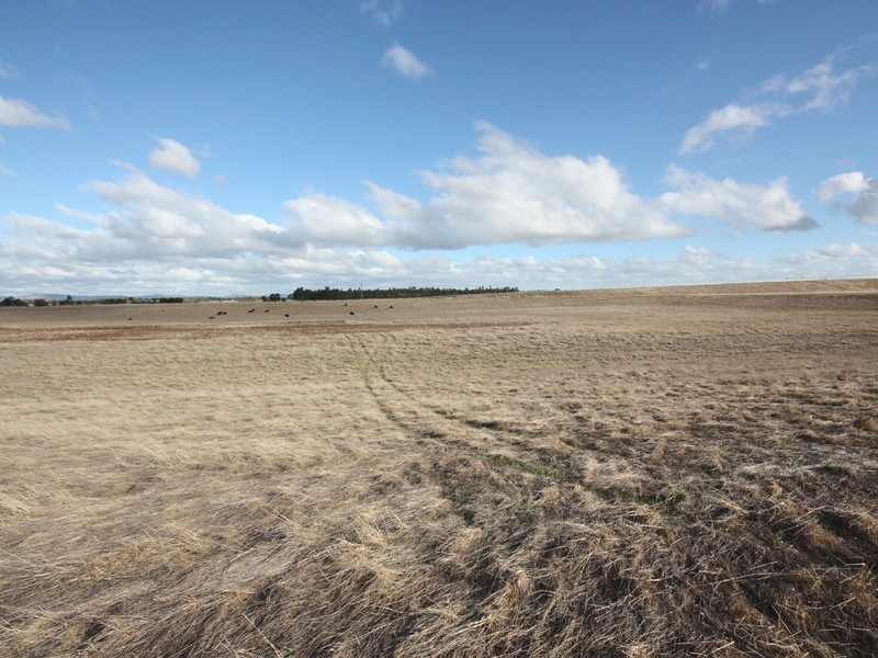 Lot 2 Habel & Locksley Road, Nagambie VIC 3608