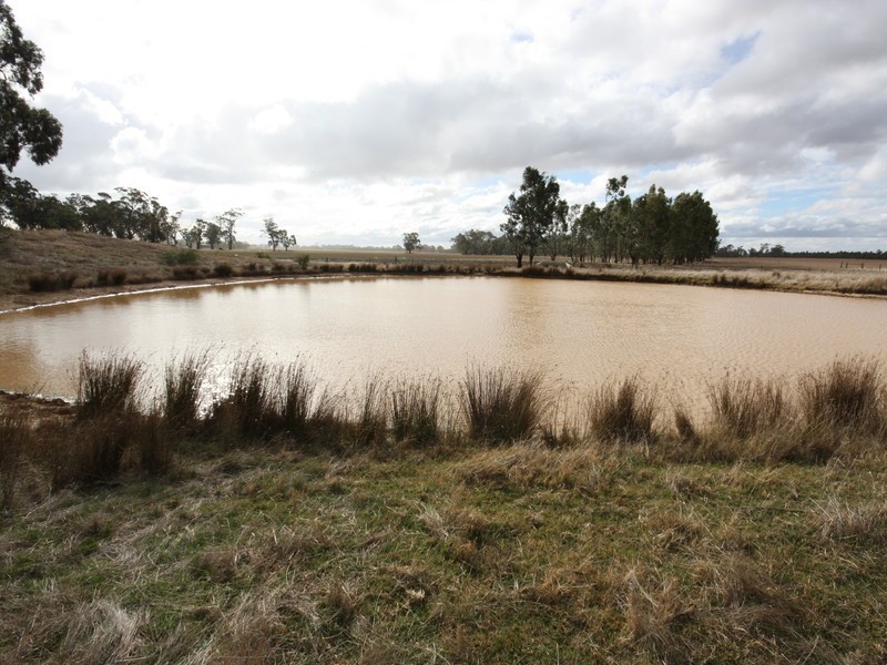 2/ Morgans Lane, Tabilk, Nagambie VIC 3608