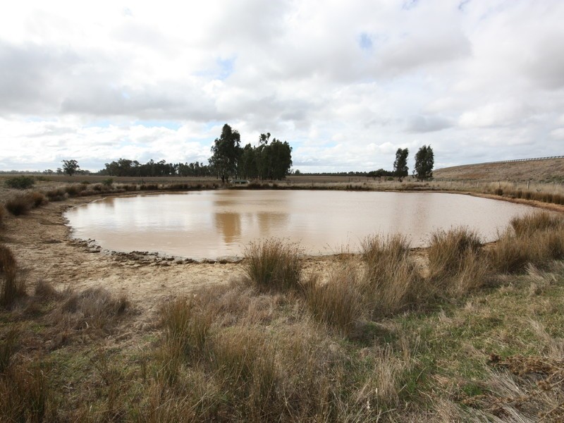 2/ Morgans Lane, Tabilk, Nagambie VIC 3608