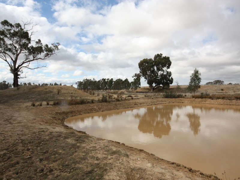 2/ Morgans Lane, Tabilk, Nagambie VIC 3608