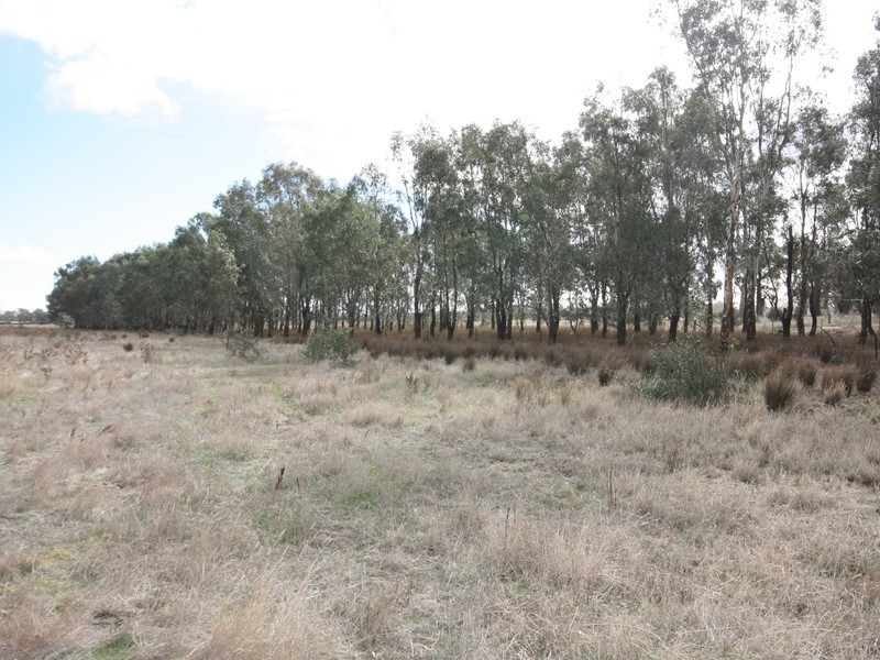 2/ Morgans Lane, Tabilk, Nagambie VIC 3608