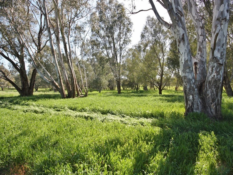 112 Crawford Rd, Benalla VIC 3672