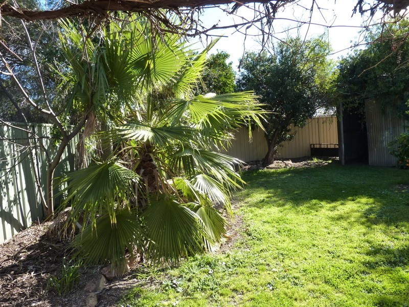 14 Dunlop Place, Benalla VIC 3672