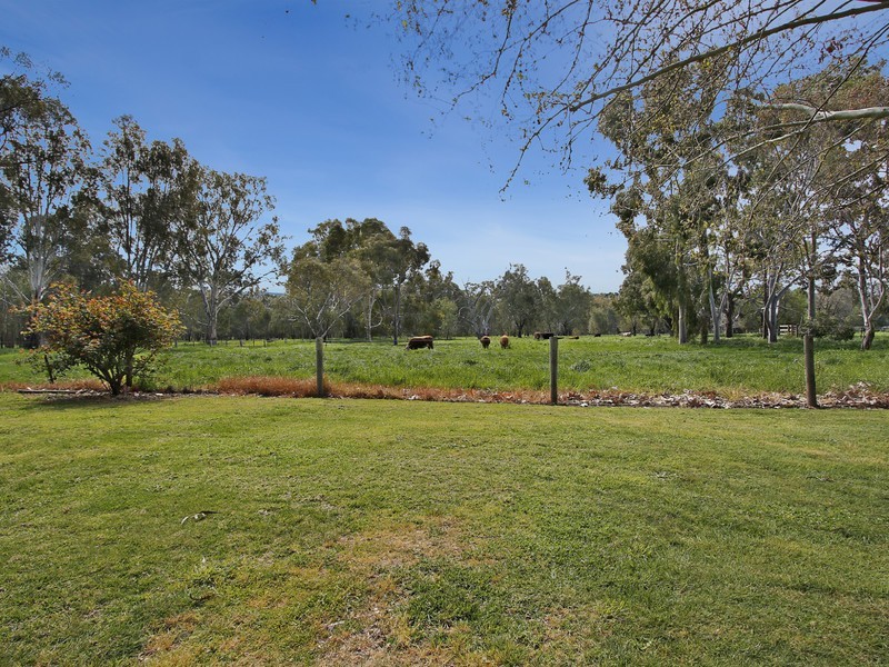 14 Boger Street, Benalla VIC 3672