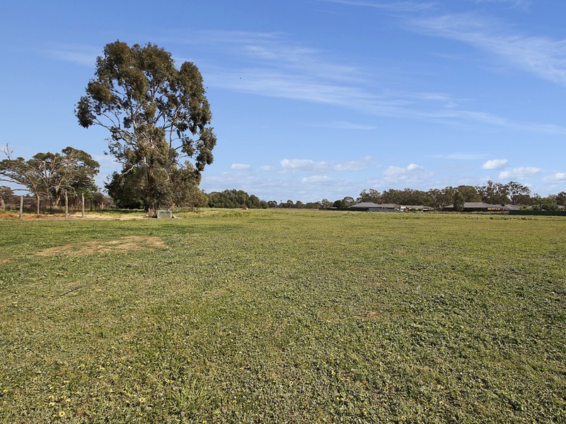 55 Coish Avenue, Benalla VIC 3672