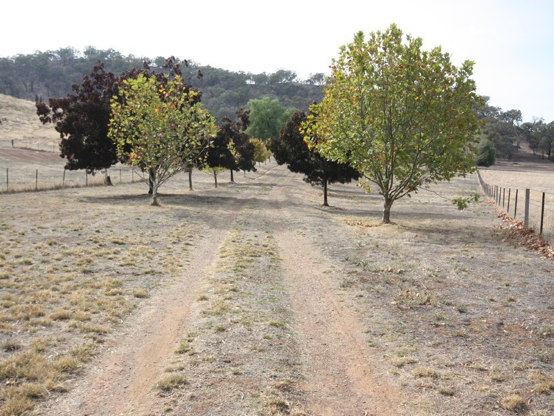 72 Bowcher Road, Chesney Vale VIC 3725