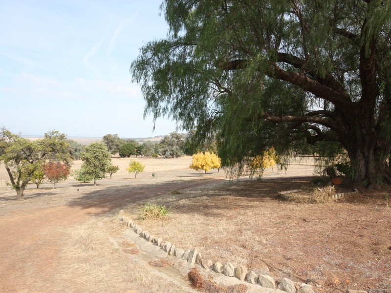 72 Bowcher Road, Chesney Vale VIC 3725