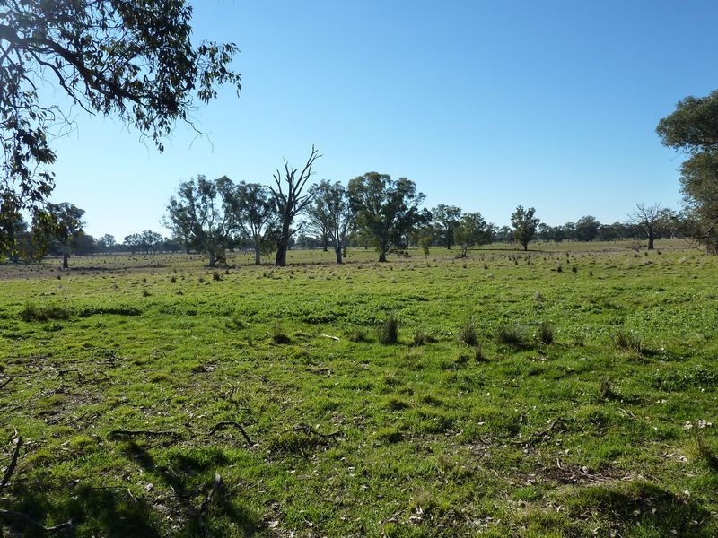 62 Warranbayne – Swanpool Rd, Warrenbayne VIC 3670