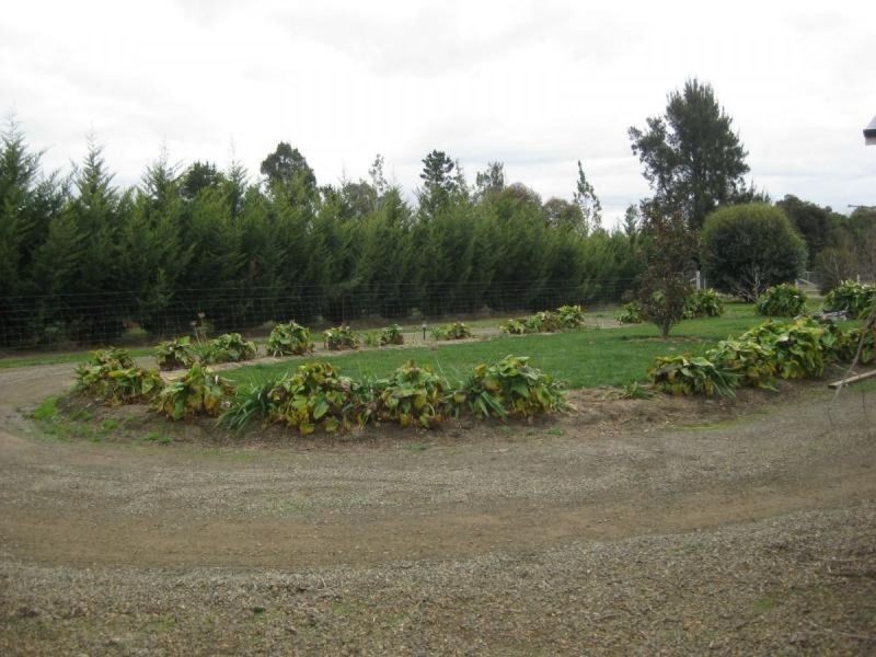 37 Olivers Road, Benalla VIC 3672