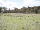 Lot 35 Lakeside Drive, Chesney Vale VIC 3725