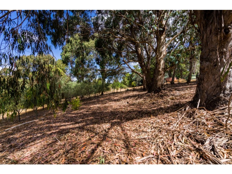 32 Nelson Street, Bedfordale WA 6112