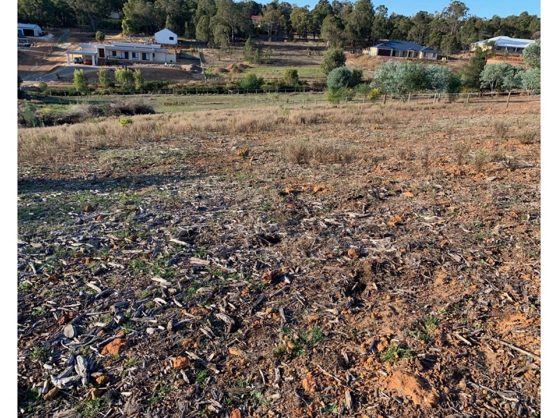 21 Grieve Way, Bedfordale WA 6112