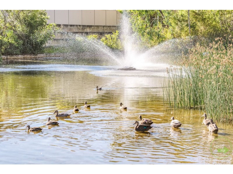 6 Murphy Road, Seville Grove WA 6112