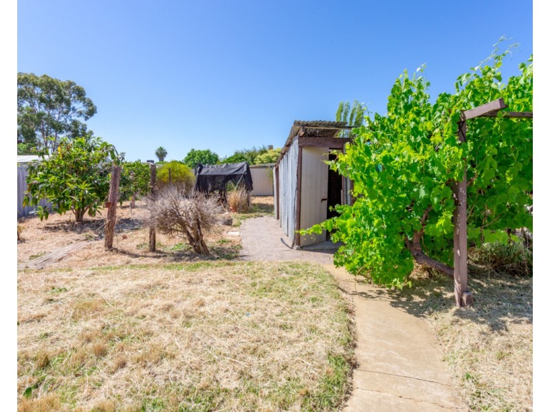 113 Mallard Way, Cannington WA 6107