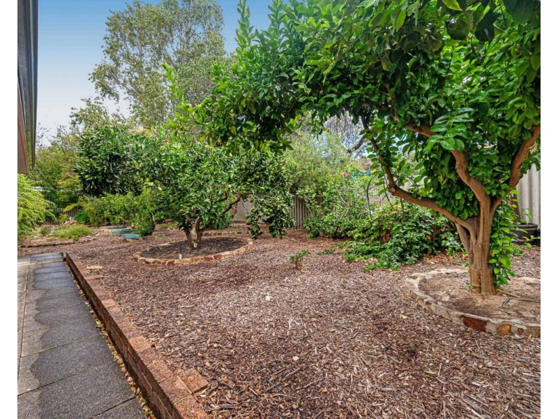 24 Canns Road, Mount Nasura WA 6112