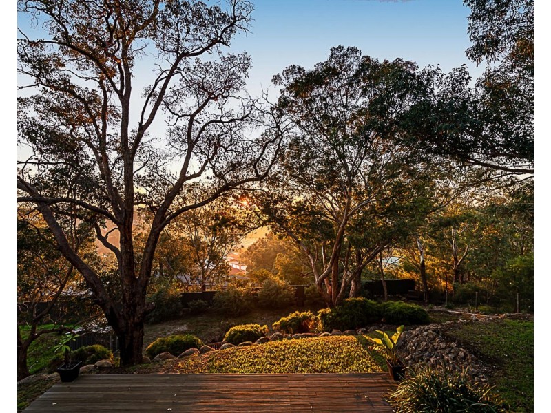 59 Bromfield Drive, Kelmscott WA 6111