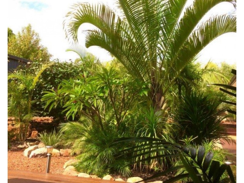 15 Observation Circle, Bedfordale WA 6112