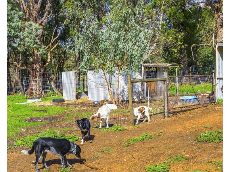 24 Nelson Street, Bedfordale WA 6112