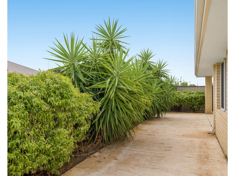 30 Calneggia Drive, Byford WA 6122