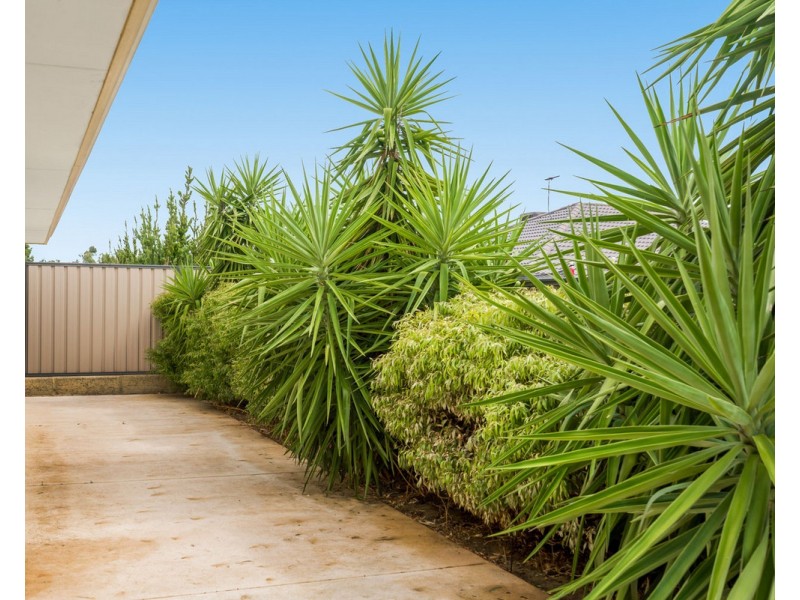 30 Calneggia Drive, Byford WA 6122