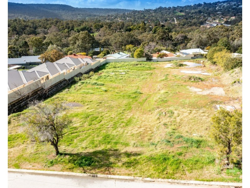 8 Dale Street, Mount Nasura WA 6112