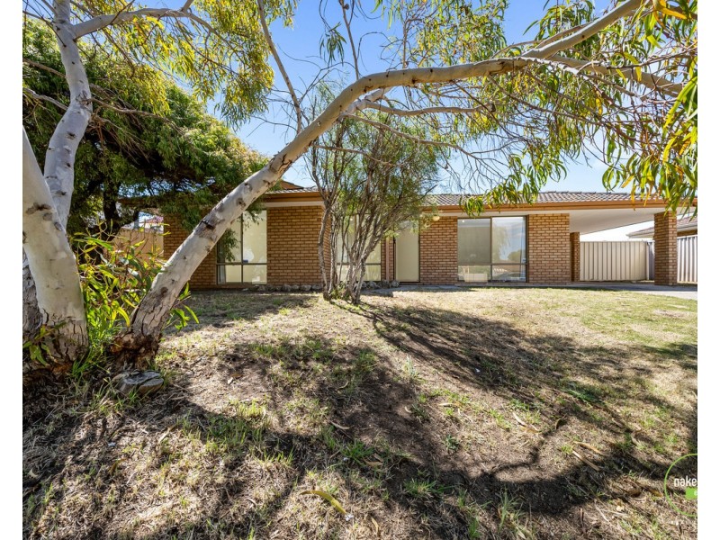 11 Gnangara Drive, Waikiki WA 6169