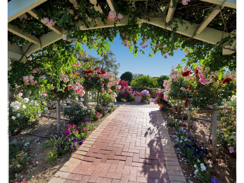 149 Carradine Road, Bedfordale WA 6112