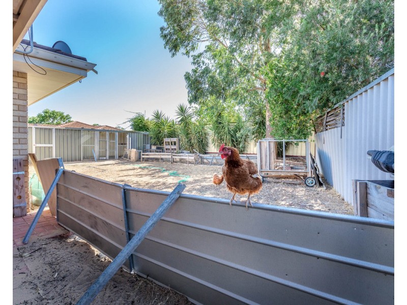 27 Jobson Loop, Brookdale WA 6112