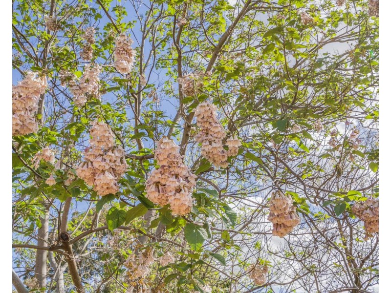 52 Stevens Road, Bedfordale WA 6112