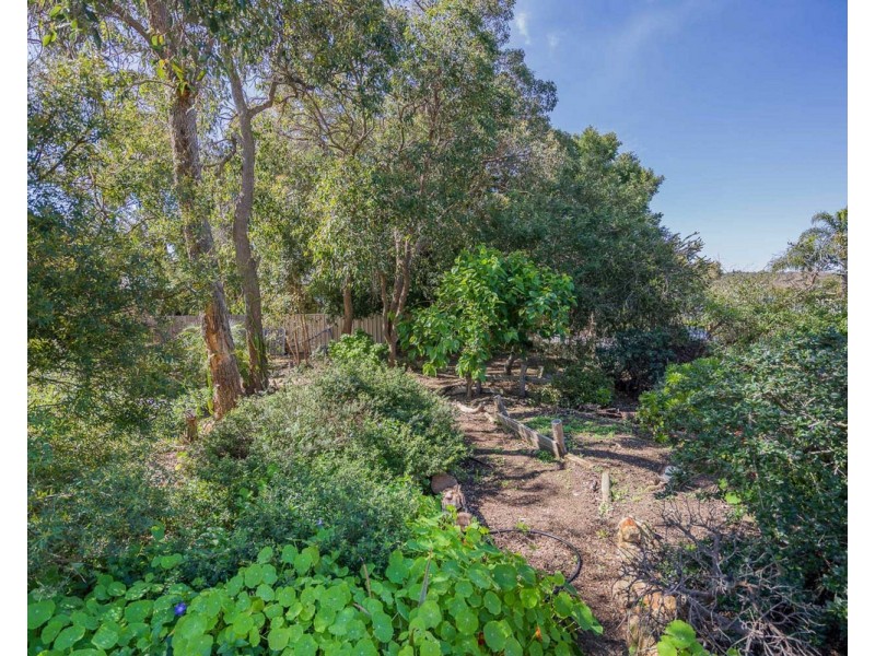 31 Blackwood Drive, Mount Nasura WA 6112