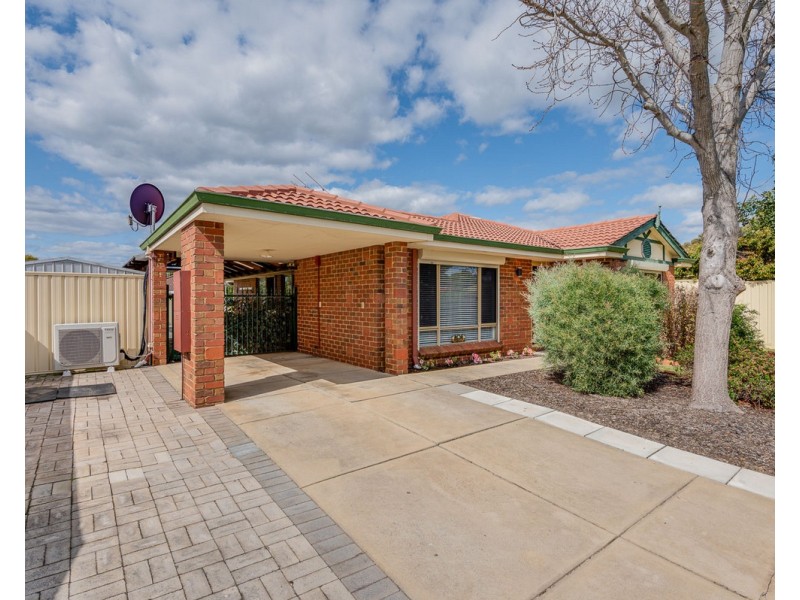 19 Jaffa Close, Seville Grove WA 6112