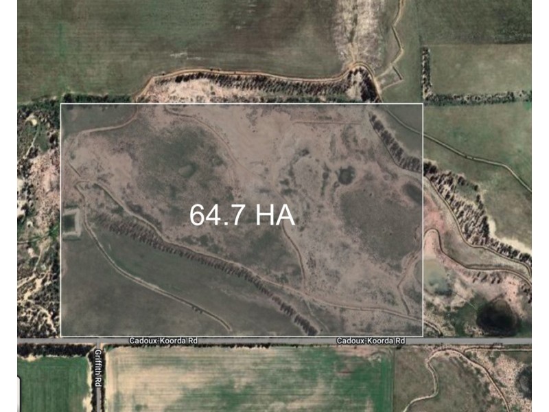 Lot 562, Koorda Wongan Hills Road, Badgerin Rock WA 6475