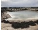 Lot 562, Koorda Wongan Hills Road, Badgerin Rock WA 6475