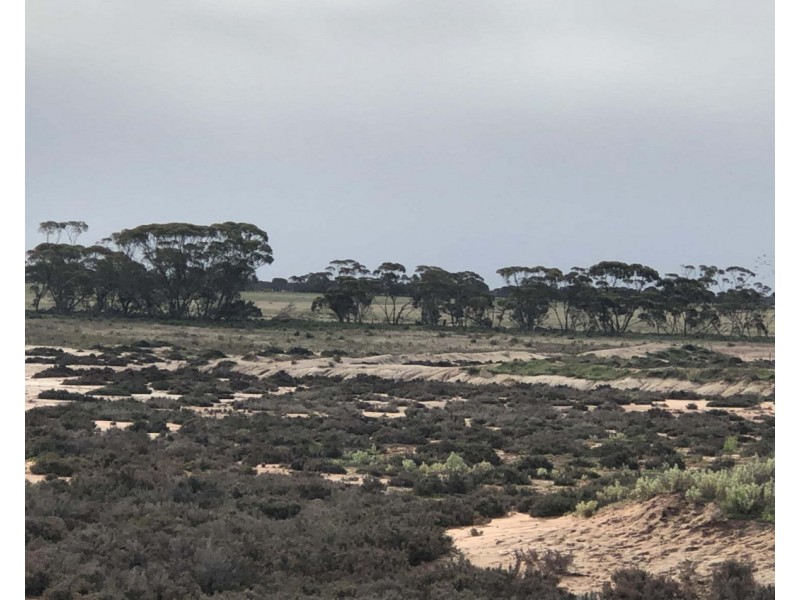 Lot 562, Koorda Wongan Hills Road, Badgerin Rock WA 6475
