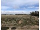 Lot 562, Koorda Wongan Hills Road, Badgerin Rock WA 6475