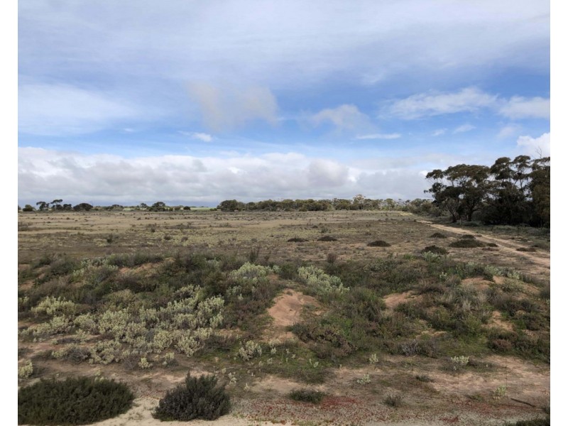 Lot 562, Koorda Wongan Hills Road, Badgerin Rock WA 6475