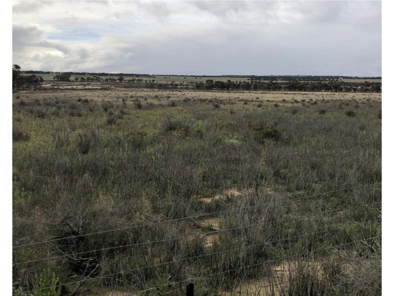 Lot 562, Koorda Wongan Hills Road, Badgerin Rock WA 6475