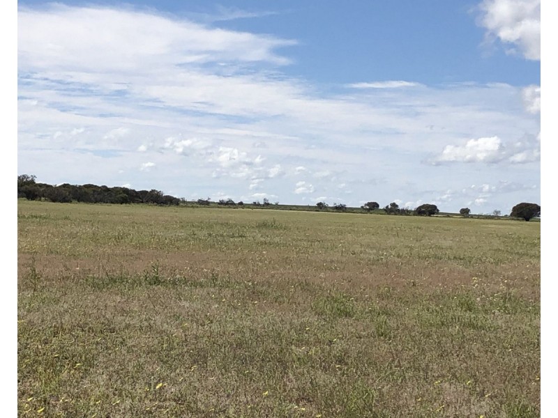 Lot 562, Koorda Wongan Hills Road, Badgerin Rock WA 6475