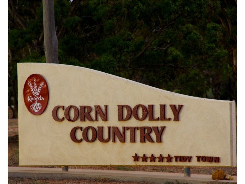 Lot 562, Koorda Wongan Hills Road, Badgerin Rock WA 6475