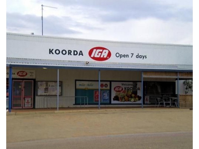 Lot 562, Koorda Wongan Hills Road, Badgerin Rock WA 6475
