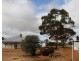 Lot 562, Koorda Wongan Hills Road, Badgerin Rock WA 6475