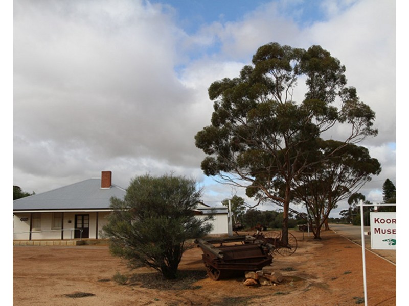 Lot 562, Koorda Wongan Hills Road, Badgerin Rock WA 6475