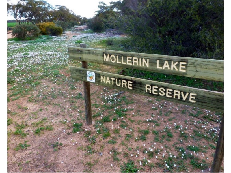 Lot 562, Koorda Wongan Hills Road, Badgerin Rock WA 6475