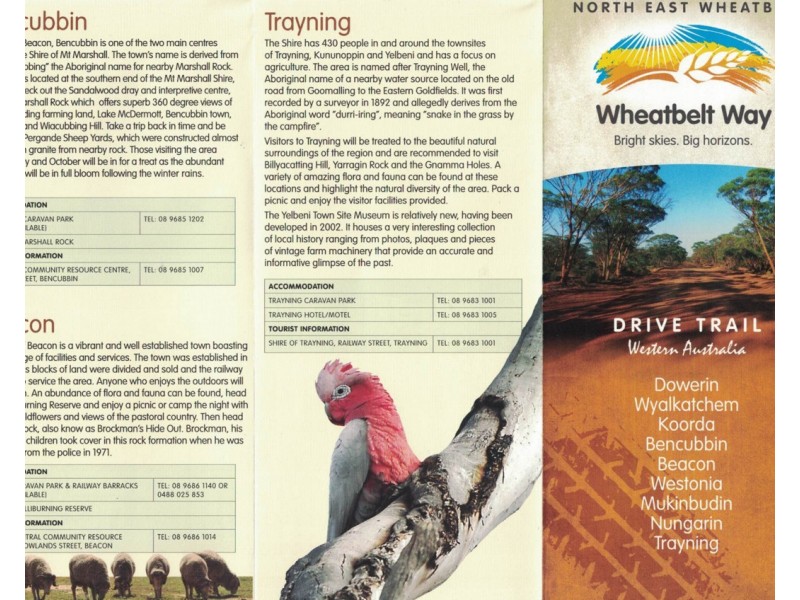 Lot 562, Koorda Wongan Hills Road, Badgerin Rock WA 6475