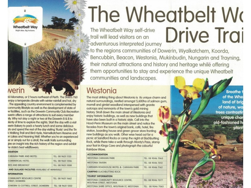 Lot 562, Koorda Wongan Hills Road, Badgerin Rock WA 6475