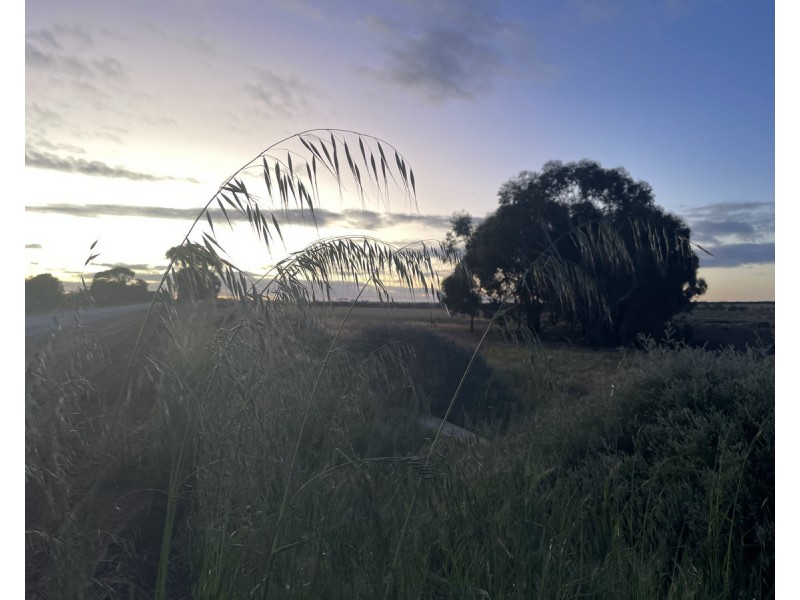 Lot 562, Koorda Wongan Hills Road, Badgerin Rock WA 6475